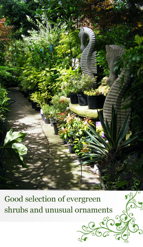 Grange Farm Garden Centre