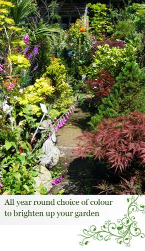 Grange Farm Garden Centre